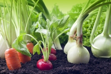 Légumes locaux