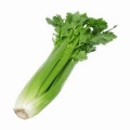 celerie branche